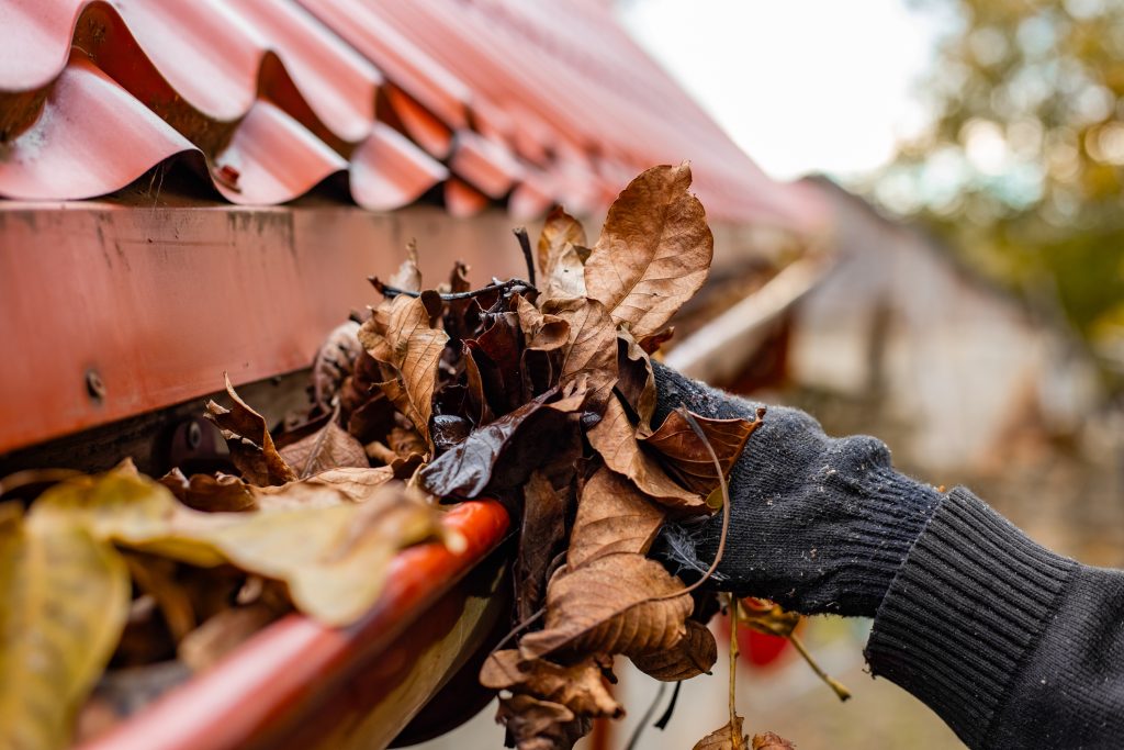 A gloved hand cleaning gutters in Sunderland
